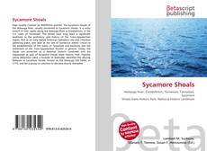 Copertina di Sycamore Shoals