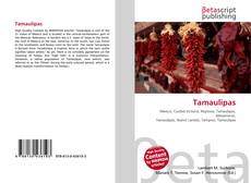 Tamaulipas的封面