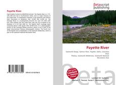 Borítókép a  Payette River - hoz