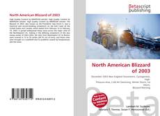 Borítókép a  North American Blizzard of 2003 - hoz