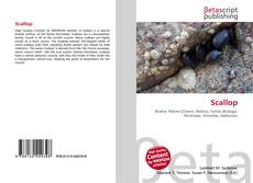 Обложка Scallop