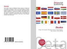 Zbudza的封面
