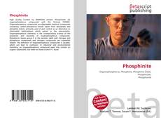 Couverture de Phosphinite