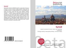 Borítókép a  Synod - hoz