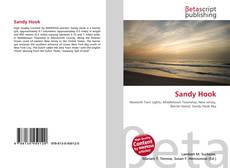 Buchcover von Sandy Hook