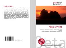 Panic of 1893 kitap kapağı