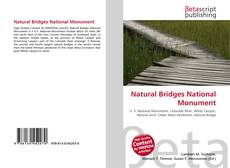 Capa do livro de Natural Bridges National Monument 