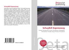 Couverture de Schuylkill Expressway