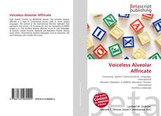 Voiceless Alveolar Affricate kitap kapağı