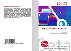 Bookcover of Prenasalized Consonant