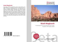 Wadi Maghareh的封面