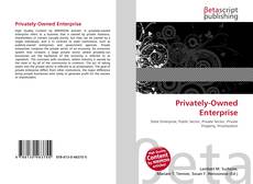 Capa do livro de Privately-Owned Enterprise 