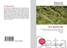 Capa do livro de U.S. Route 250 