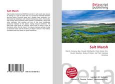 Capa do livro de Salt Marsh 