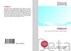 Uddjaure的封面