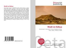 Wadi es-Sebua的封面