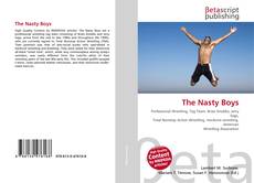 Copertina di The Nasty Boys