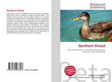 Copertina di Northern Pintail