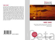 WBZ (AM) kitap kapağı
