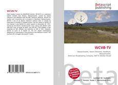 WCVB-TV kitap kapağı
