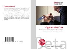 Opportunity Cost的封面