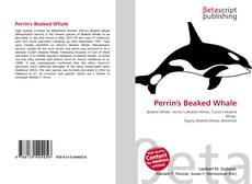 Copertina di Perrin's Beaked Whale