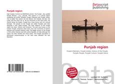 Copertina di Punjab region
