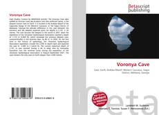 Copertina di Voronya Cave