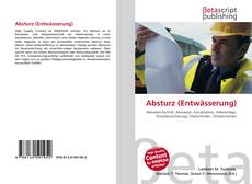 Buchcover von Absturz (Entwässerung)