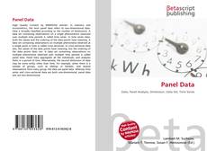 Panel Data kitap kapağı