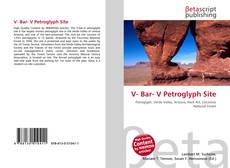 V- Bar- V Petroglyph Site kitap kapağı