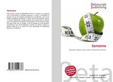 Portada del libro de Sememe