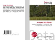 Tsuga Canadensis的封面