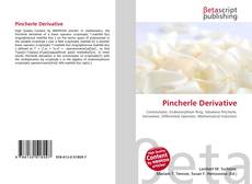 Pincherle Derivative kitap kapağı