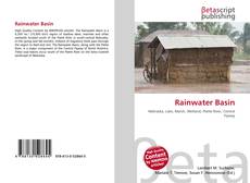 Capa do livro de Rainwater Basin 