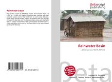 Bookcover of Rainwater Basin