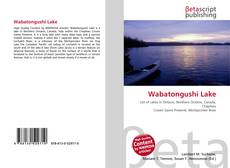 Wabatongushi Lake的封面