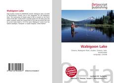 Portada del libro de Wabigoon Lake