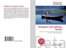 Portada del libro de Wabigoon Lake Ojibway Nation