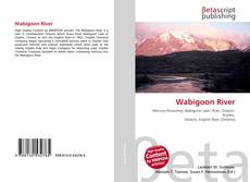 Copertina di Wabigoon River