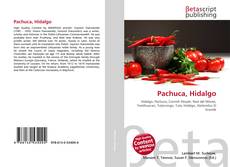 Borítókép a  Pachuca, Hidalgo - hoz