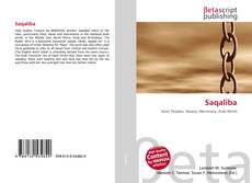 Portada del libro de Saqaliba