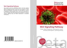 Wnt Signaling Pathway的封面