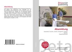 Обложка Abwinklung