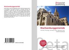 Bookcover of Wachsenburggemeinde