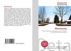 Buchcover von Maramureş