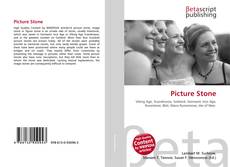 Couverture de Picture Stone