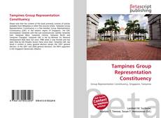 Buchcover von Tampines Group Representation Constituency