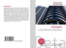 Serangoon的封面