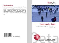 Bookcover of Saal an der Saale